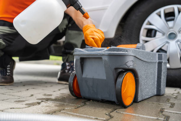 Best Lawn Renovation and Restoration  in Ivins, UT